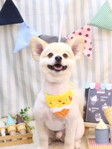 20250521ぽんずくん